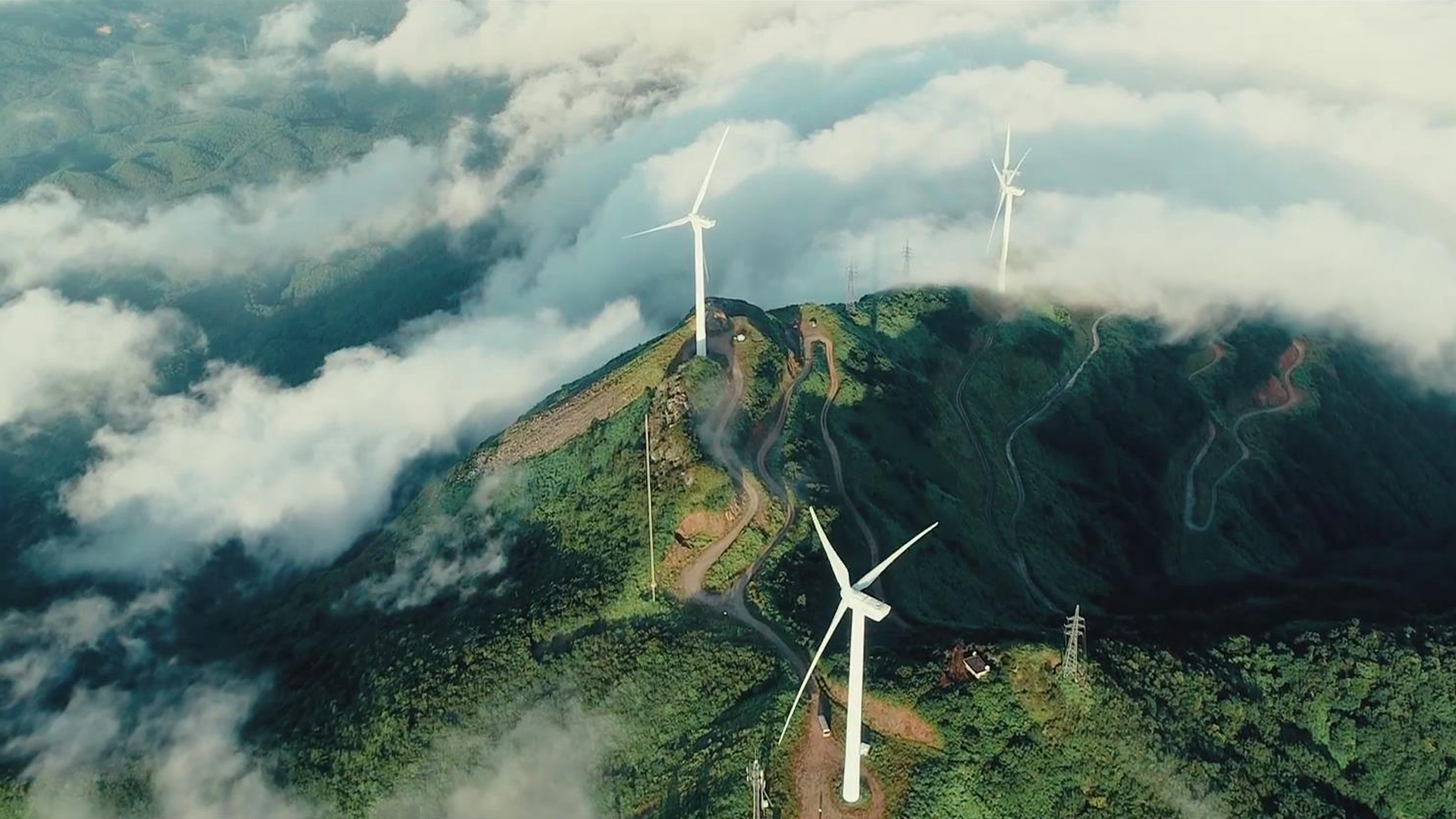 洛陽龍鼎鋁業-中文